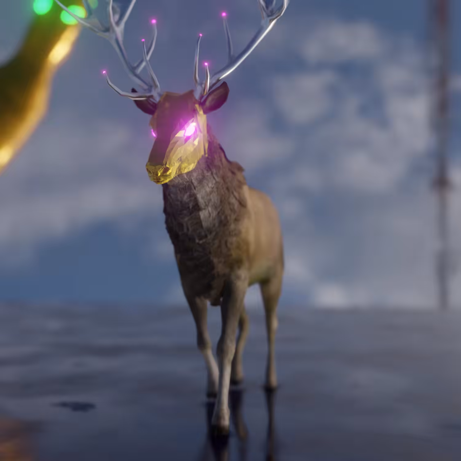 The Survivor