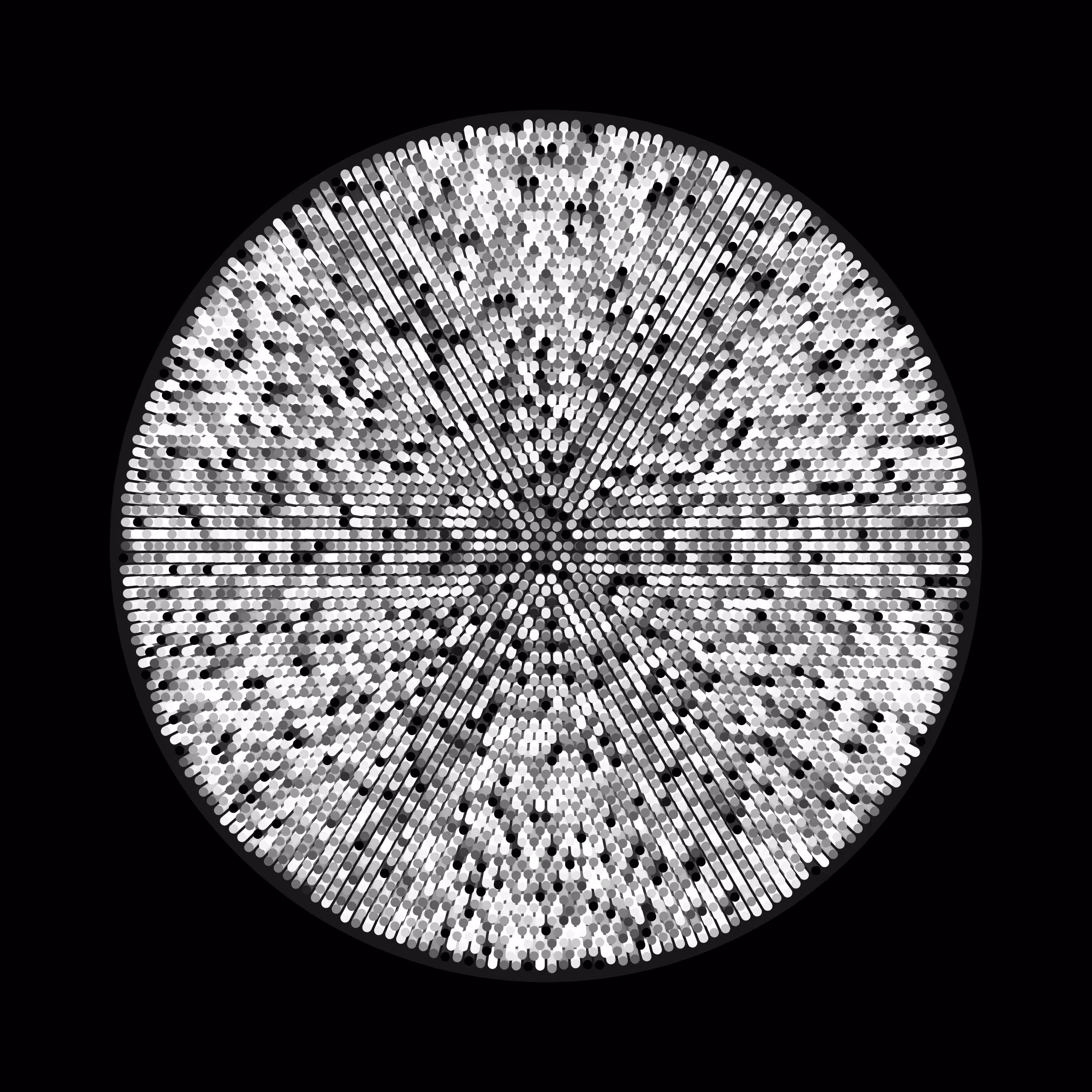 Transitions #2279