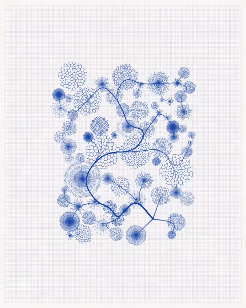 Florilegium #120
