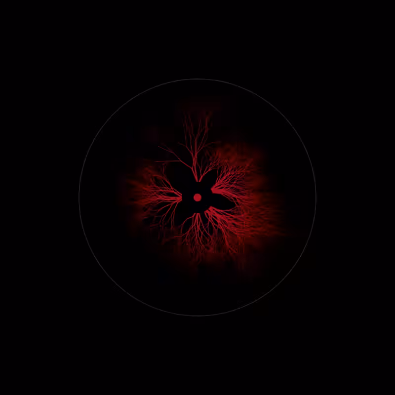 EYE #50