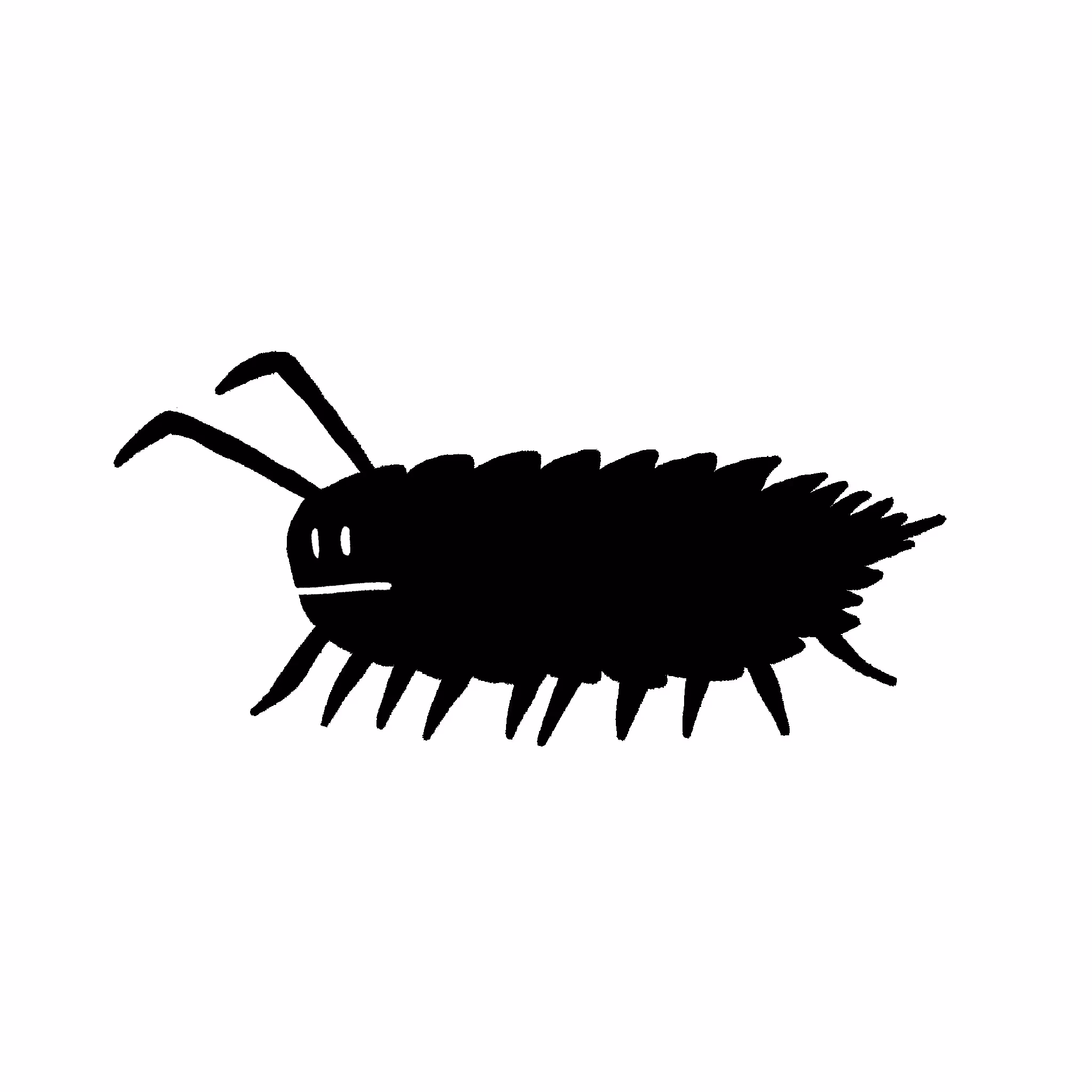 Woodlouse