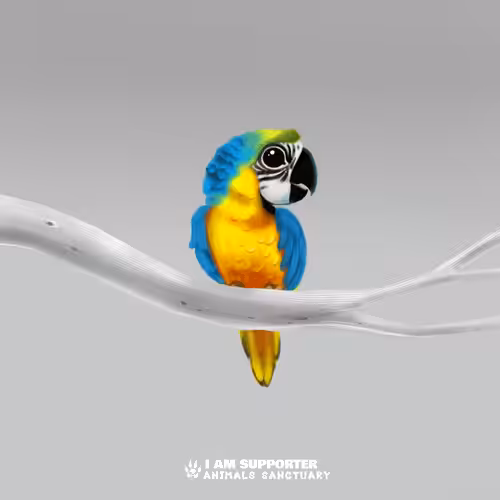animals sanctuary: I AM SUPPORTER