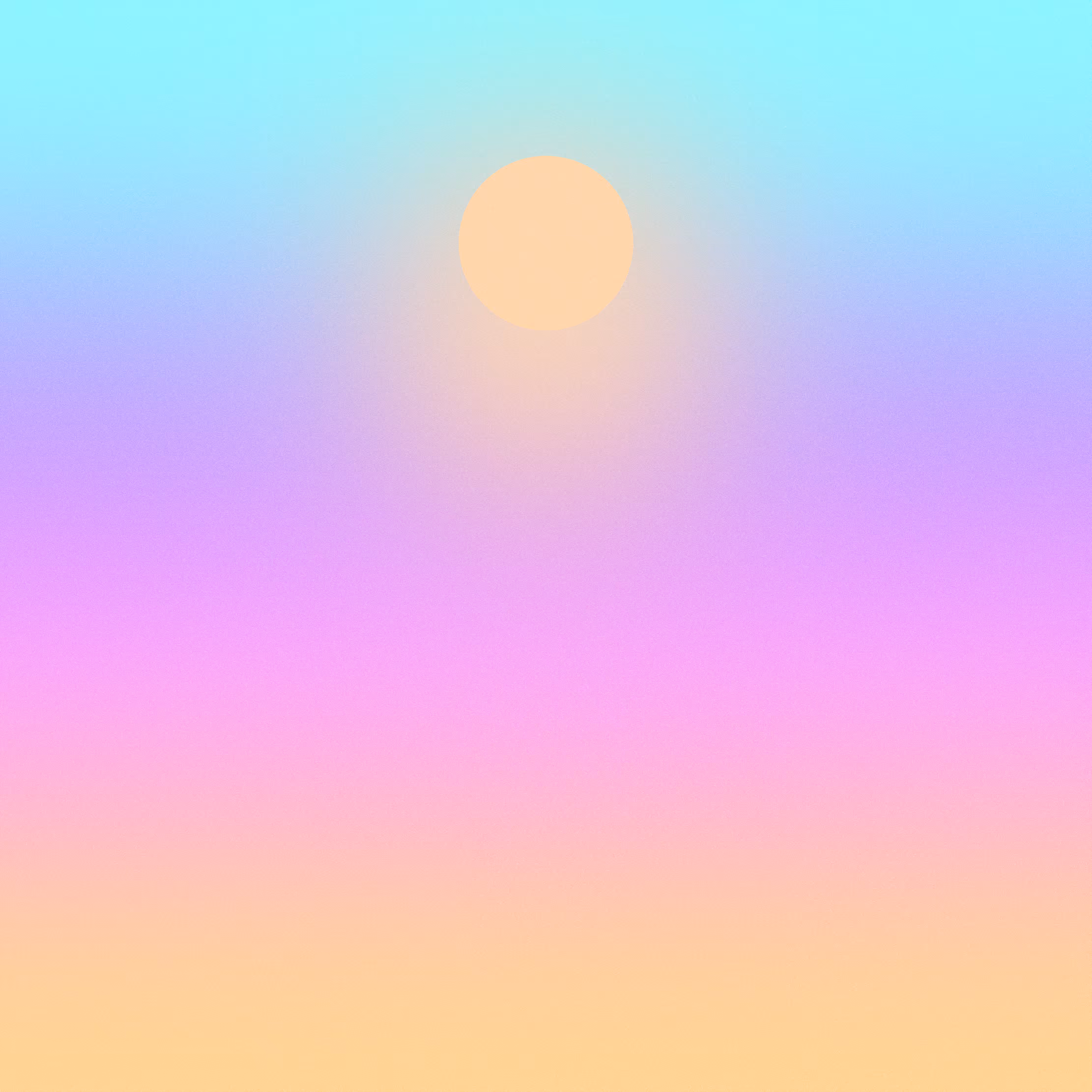 with the light 53