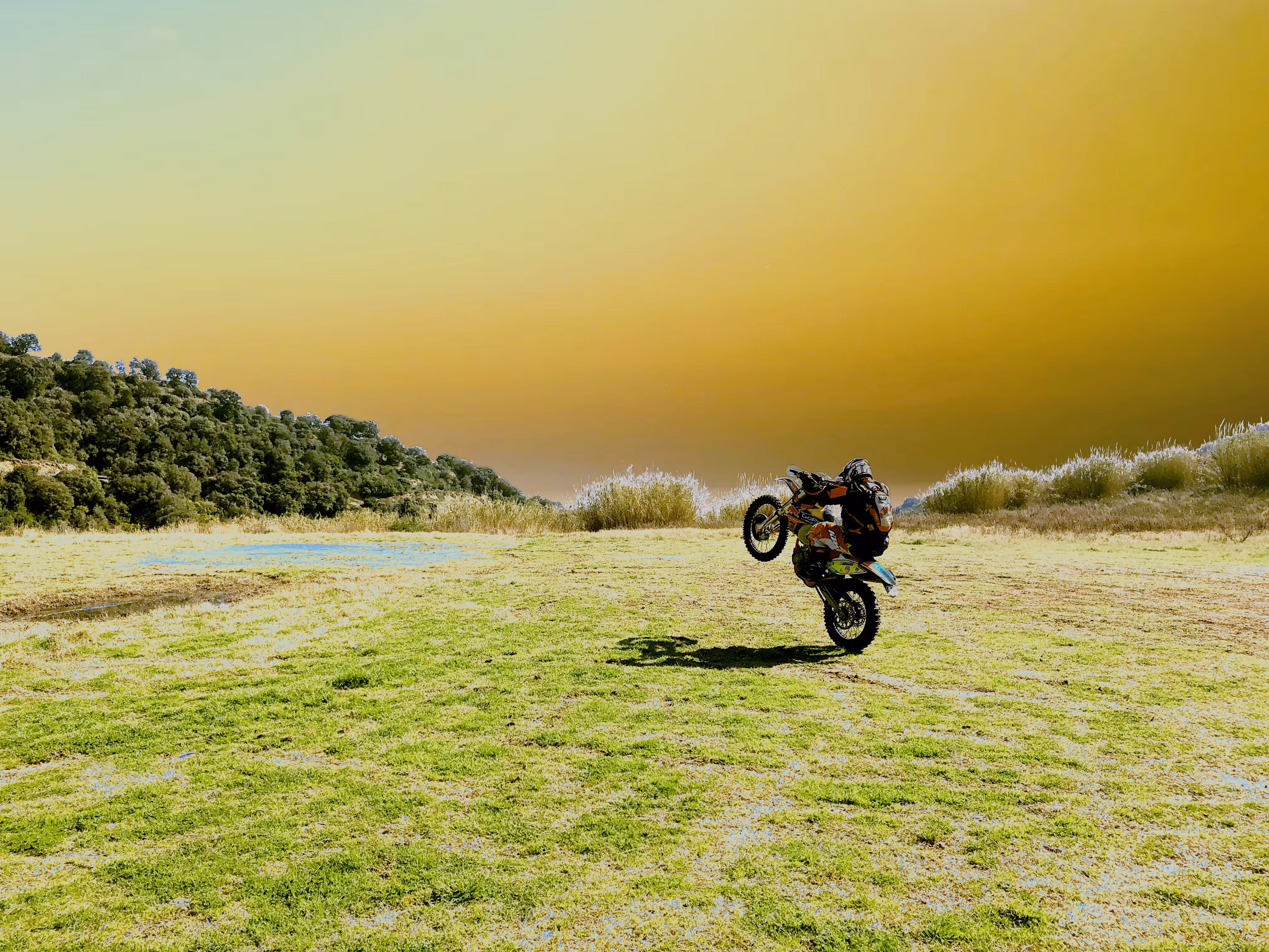 Wheelie Day