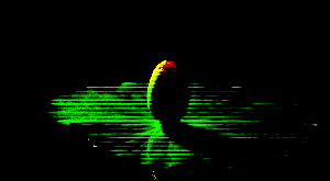 _anima_lucida