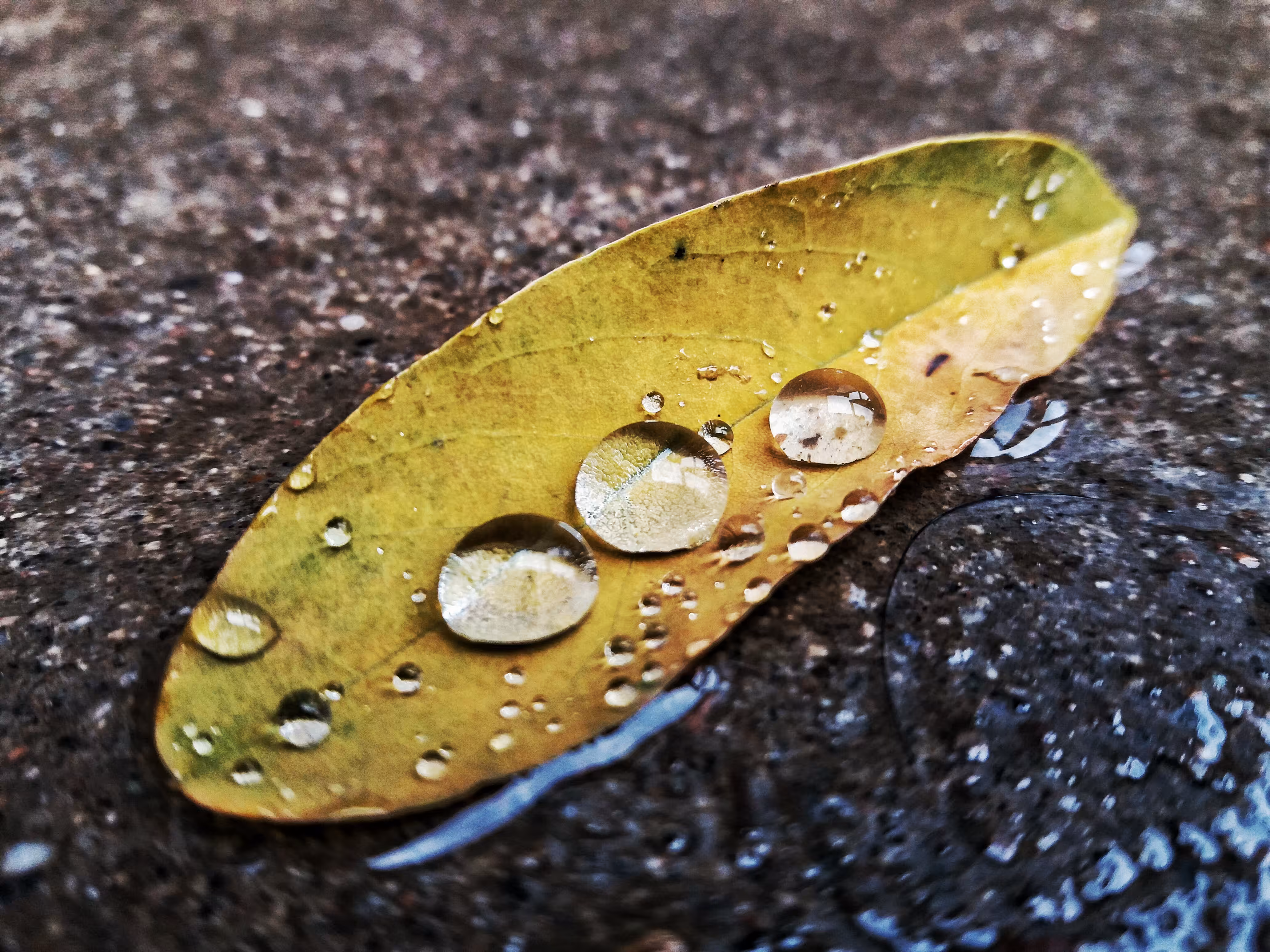 Drops