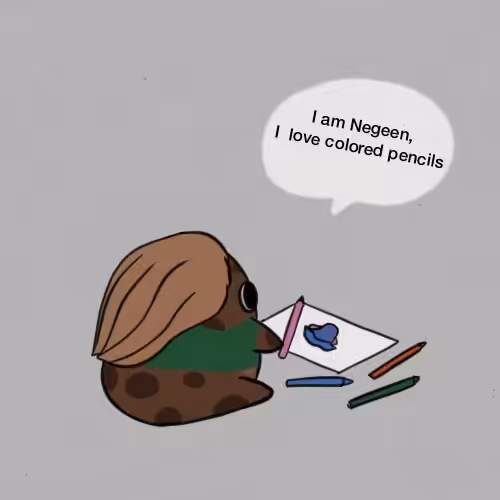CHOCO CHIPS: Choco Negeen
