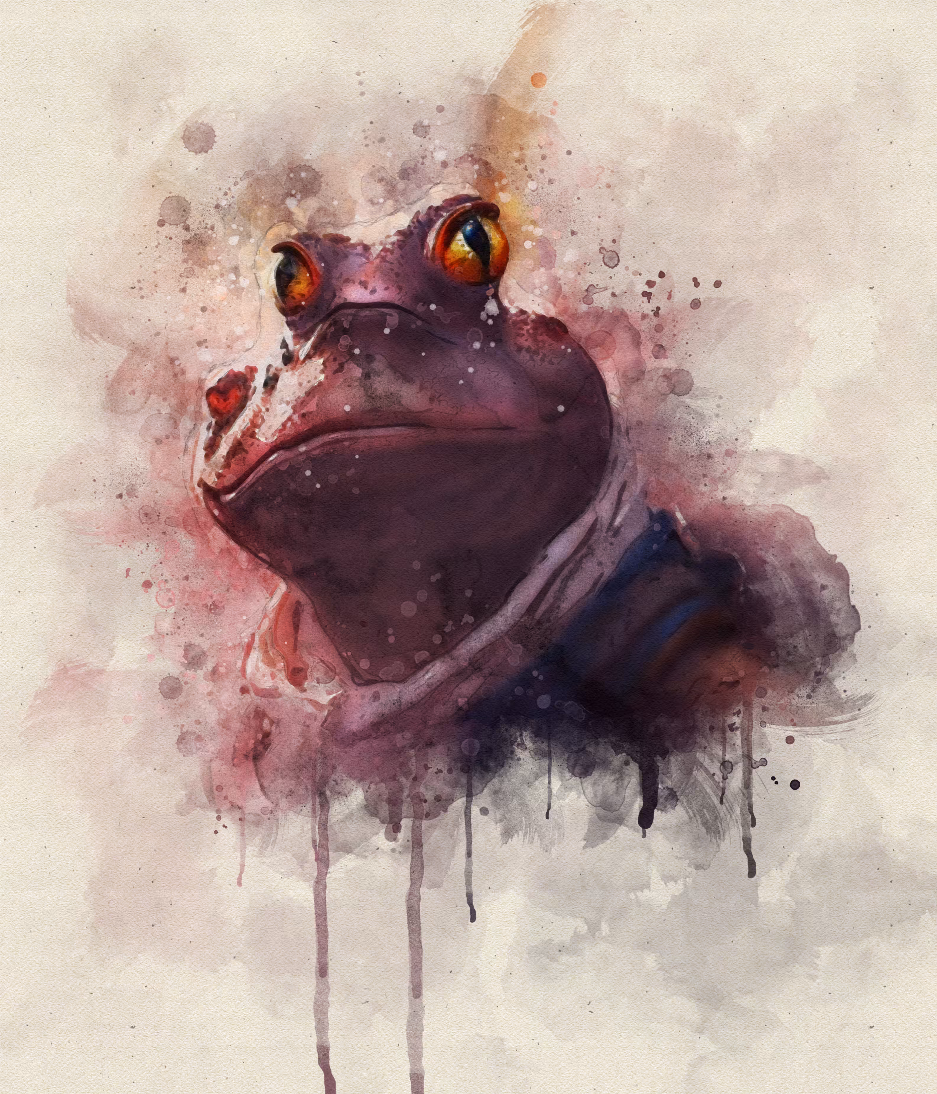Toad