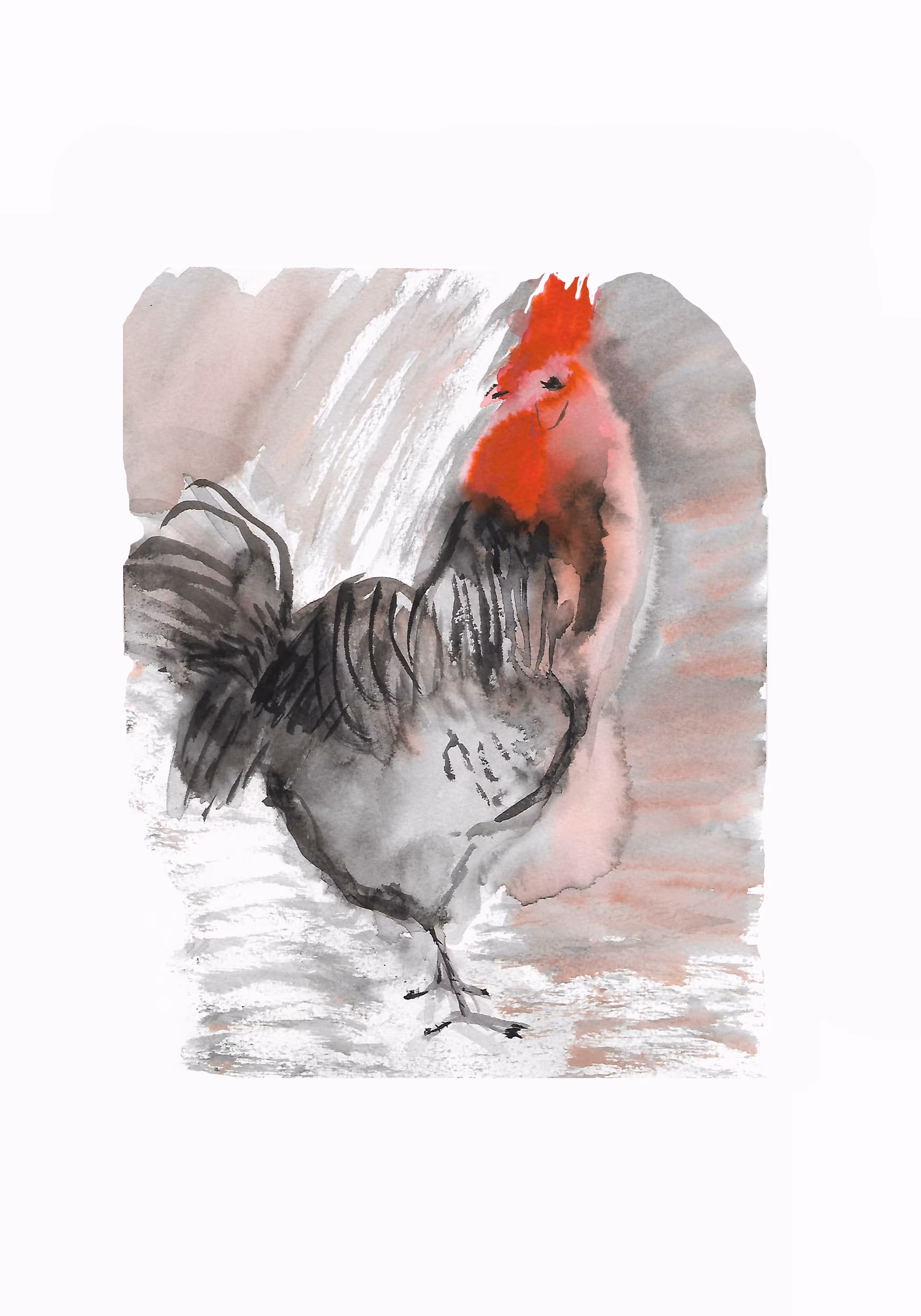 Gallo