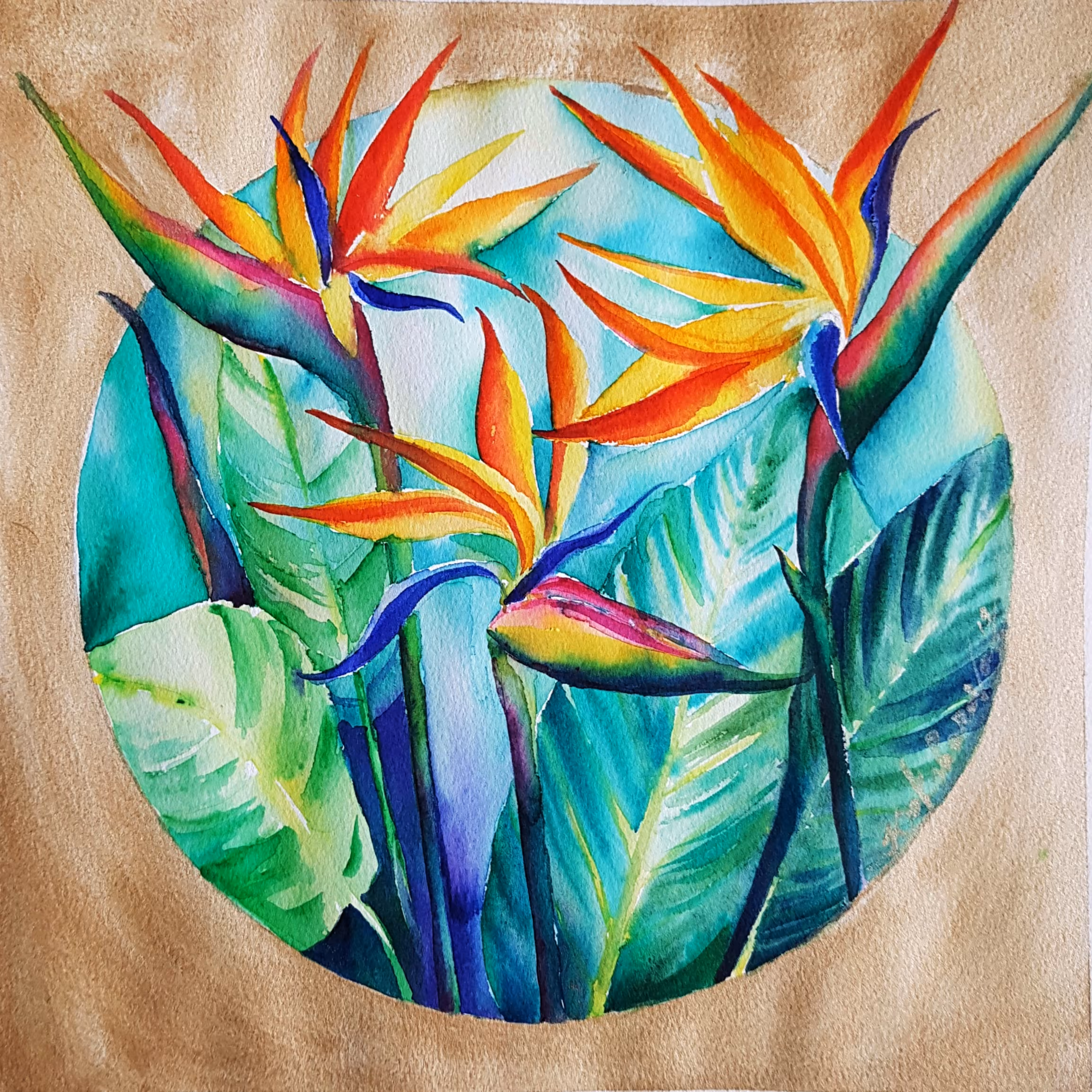 Strelitzia