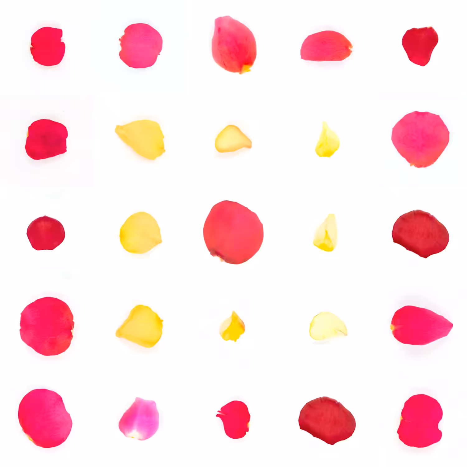 Infinite Petals 5x5#20293