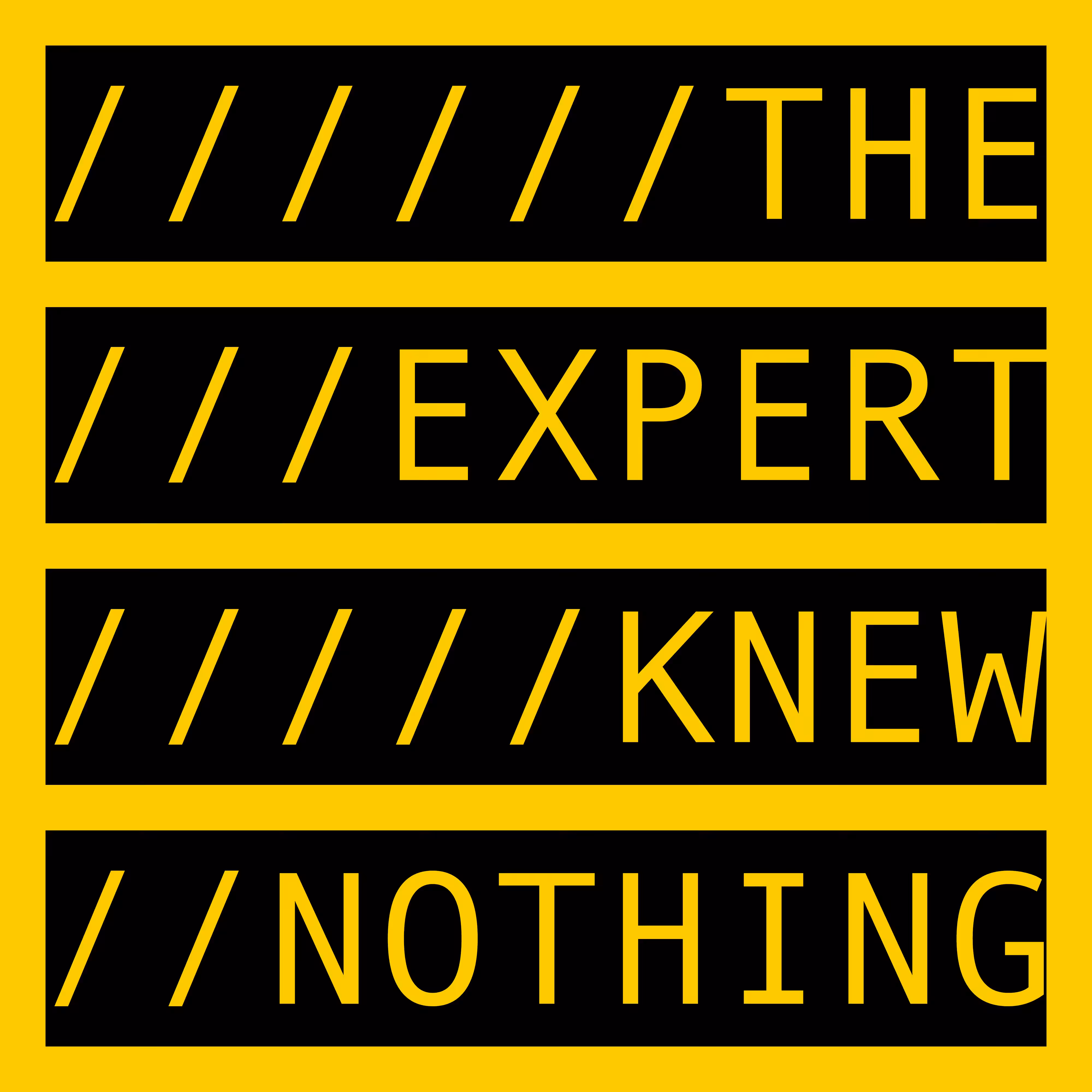THE EXPERT KNEW NOTHING
