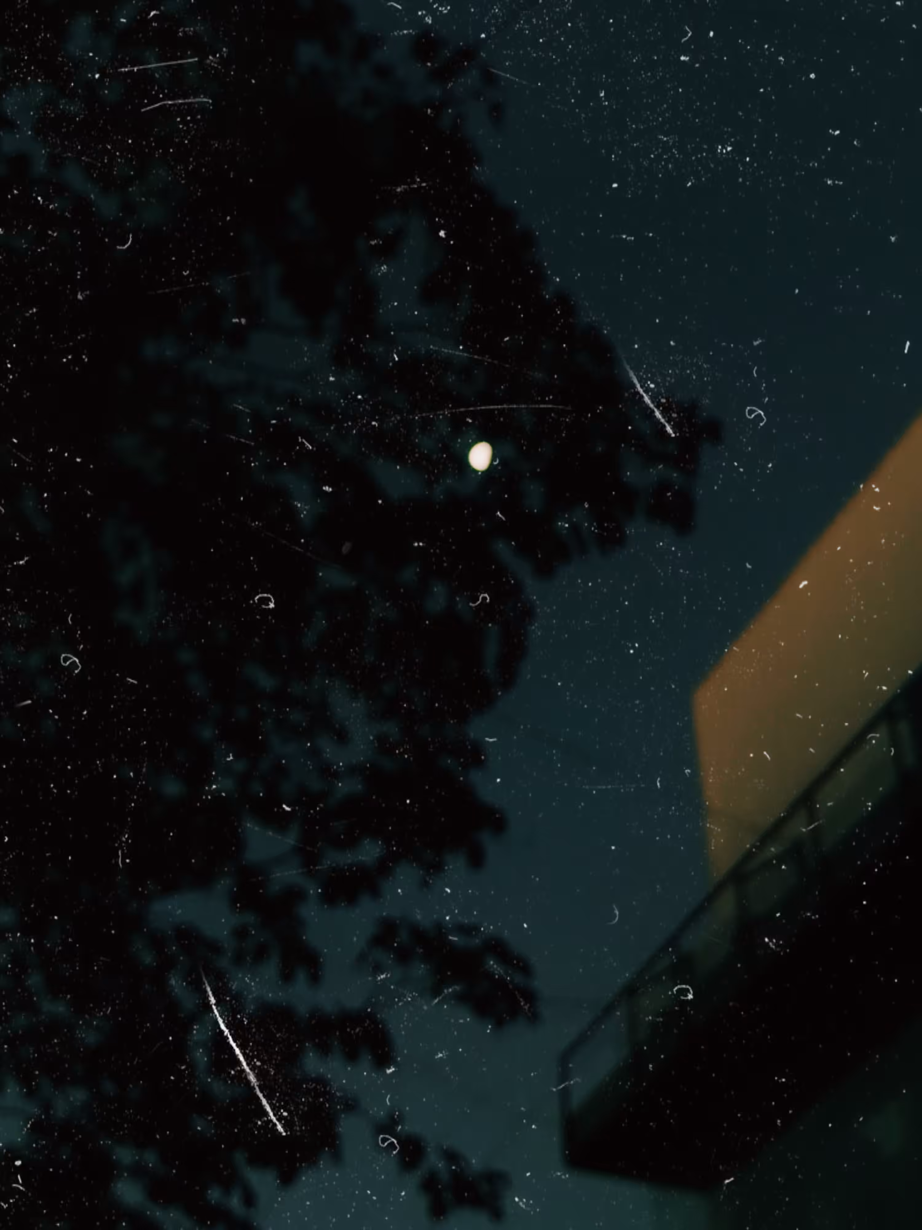 moonrise