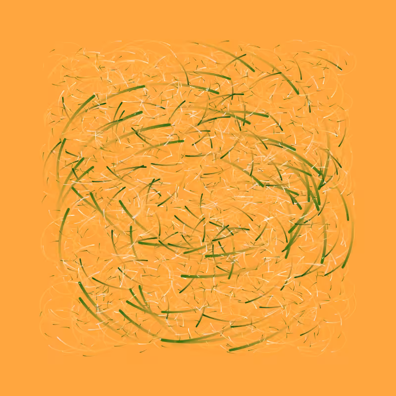 Lines Experiment #4