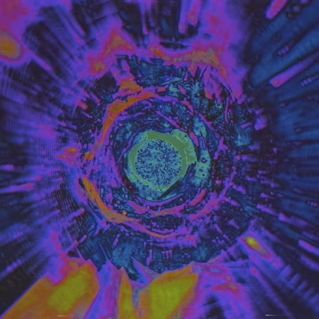 merwrmhle