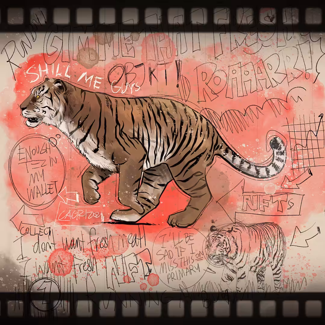H=N TIGERS