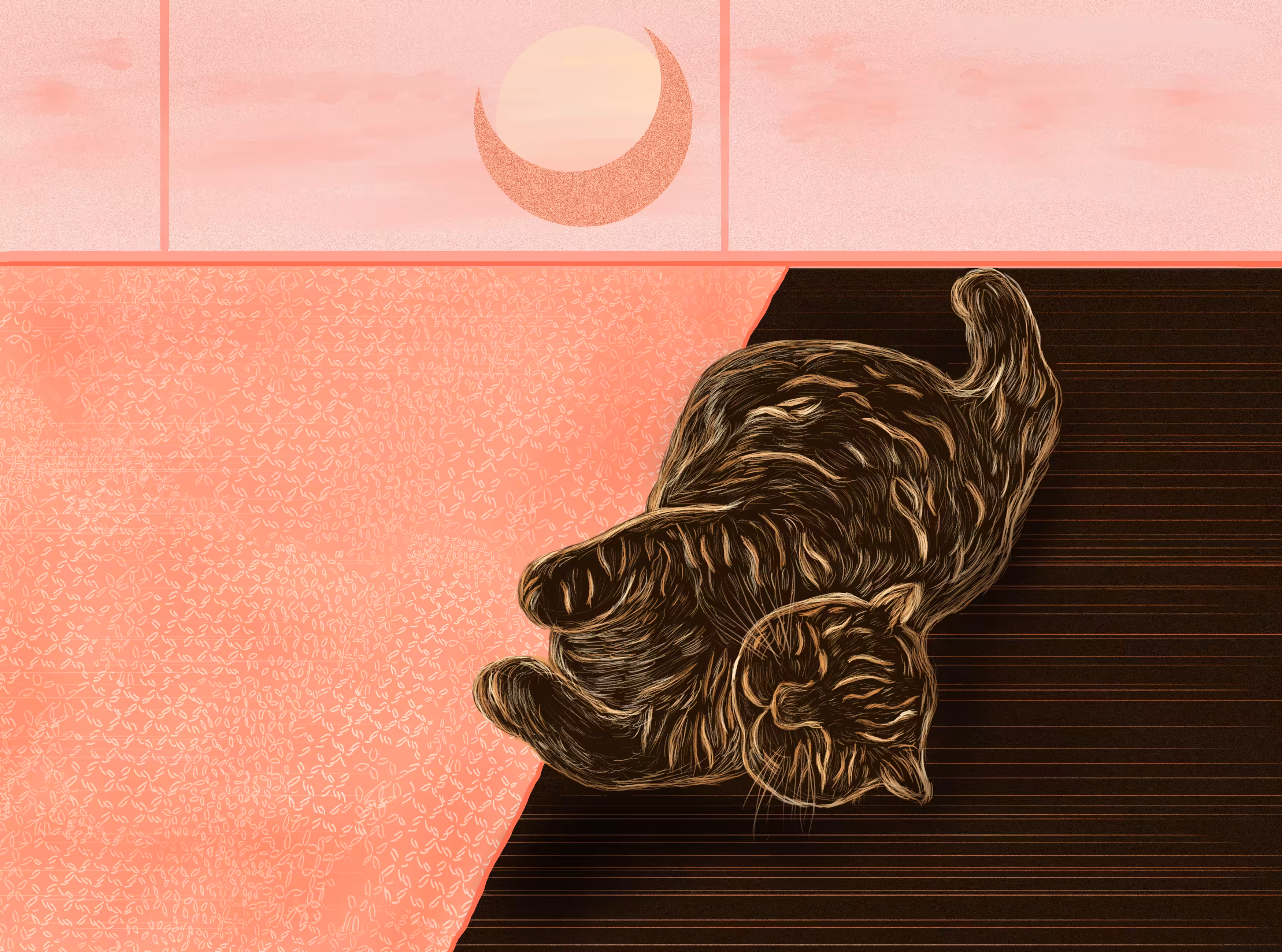 Lazy cat