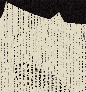 The Flood & The Whale #242