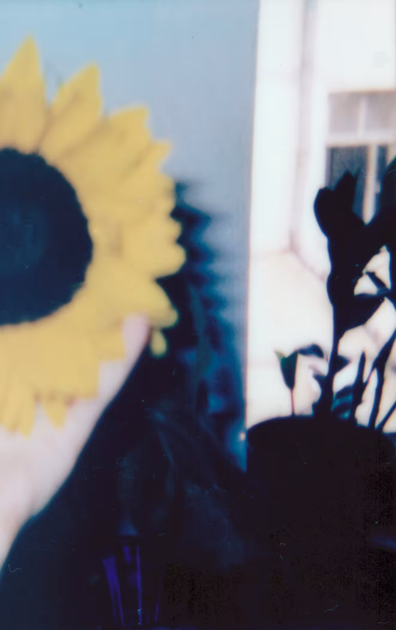 Fragment #129
