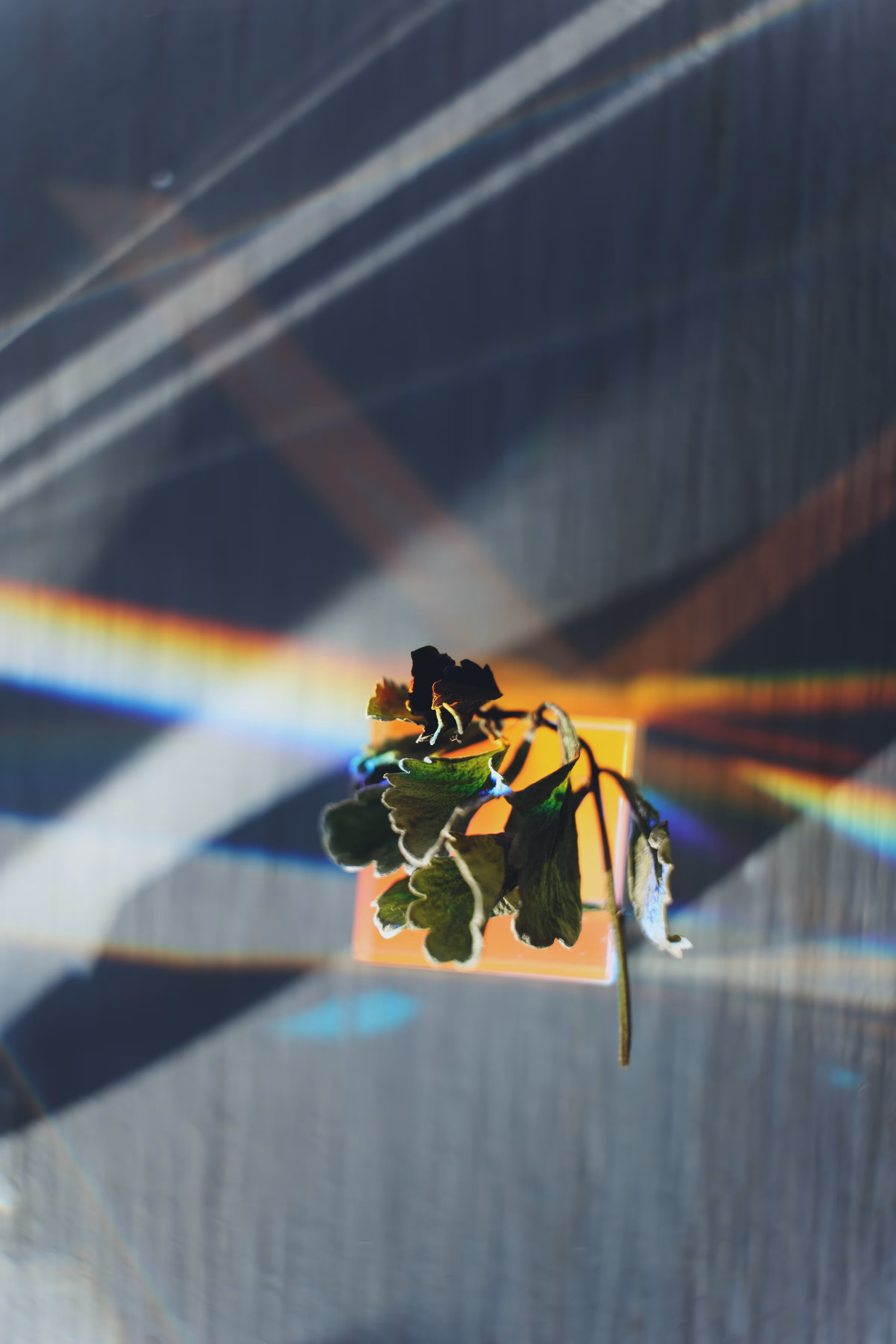 _crosshairs