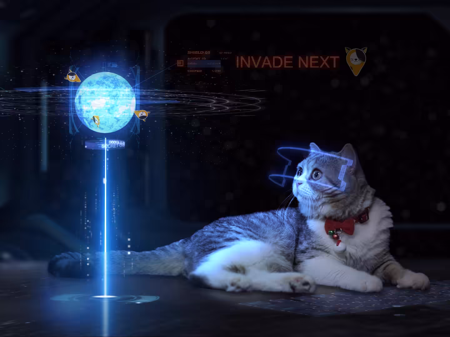 Mushu next plan