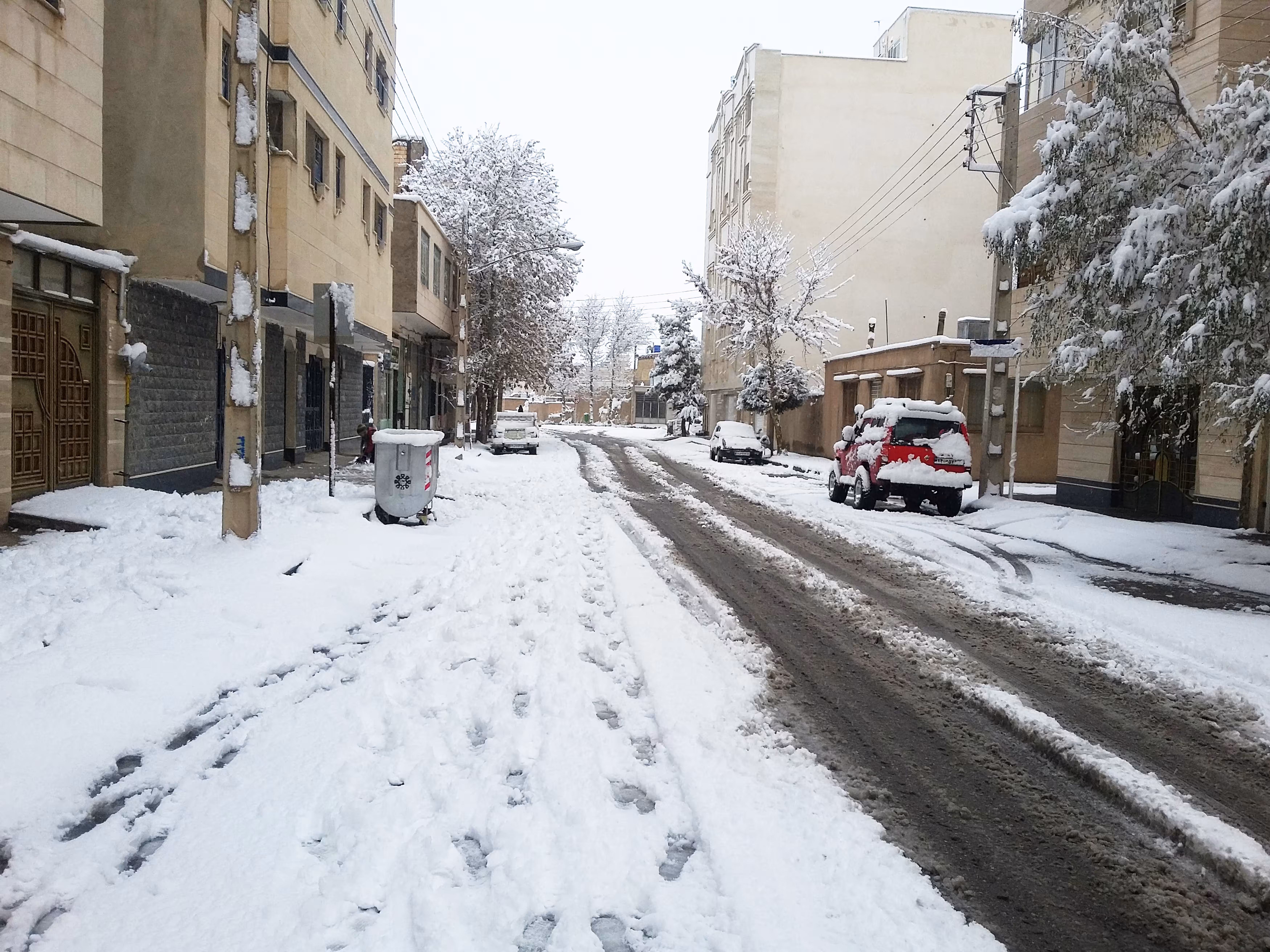 Snowfall on The Street #1