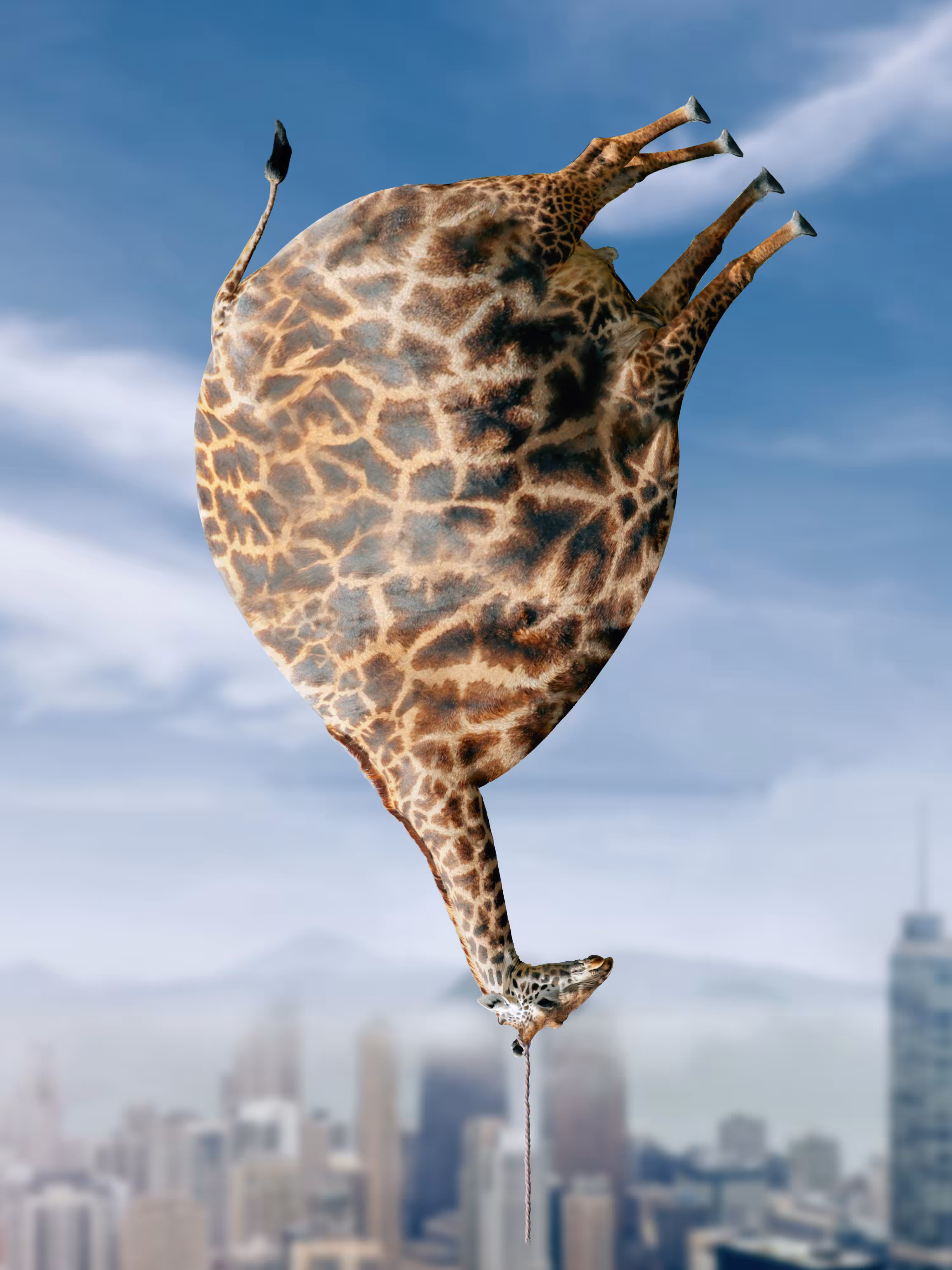 Giralloon