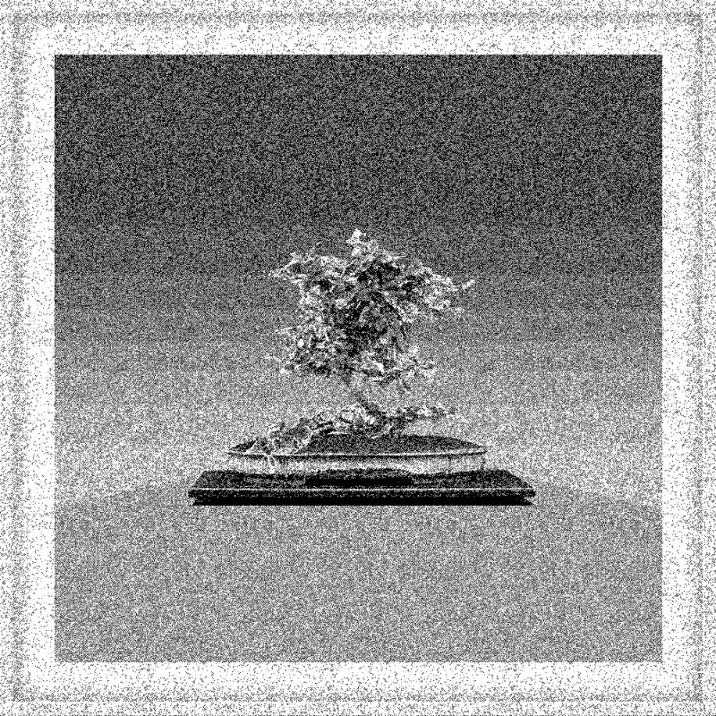 Bonsai Bonanza #659