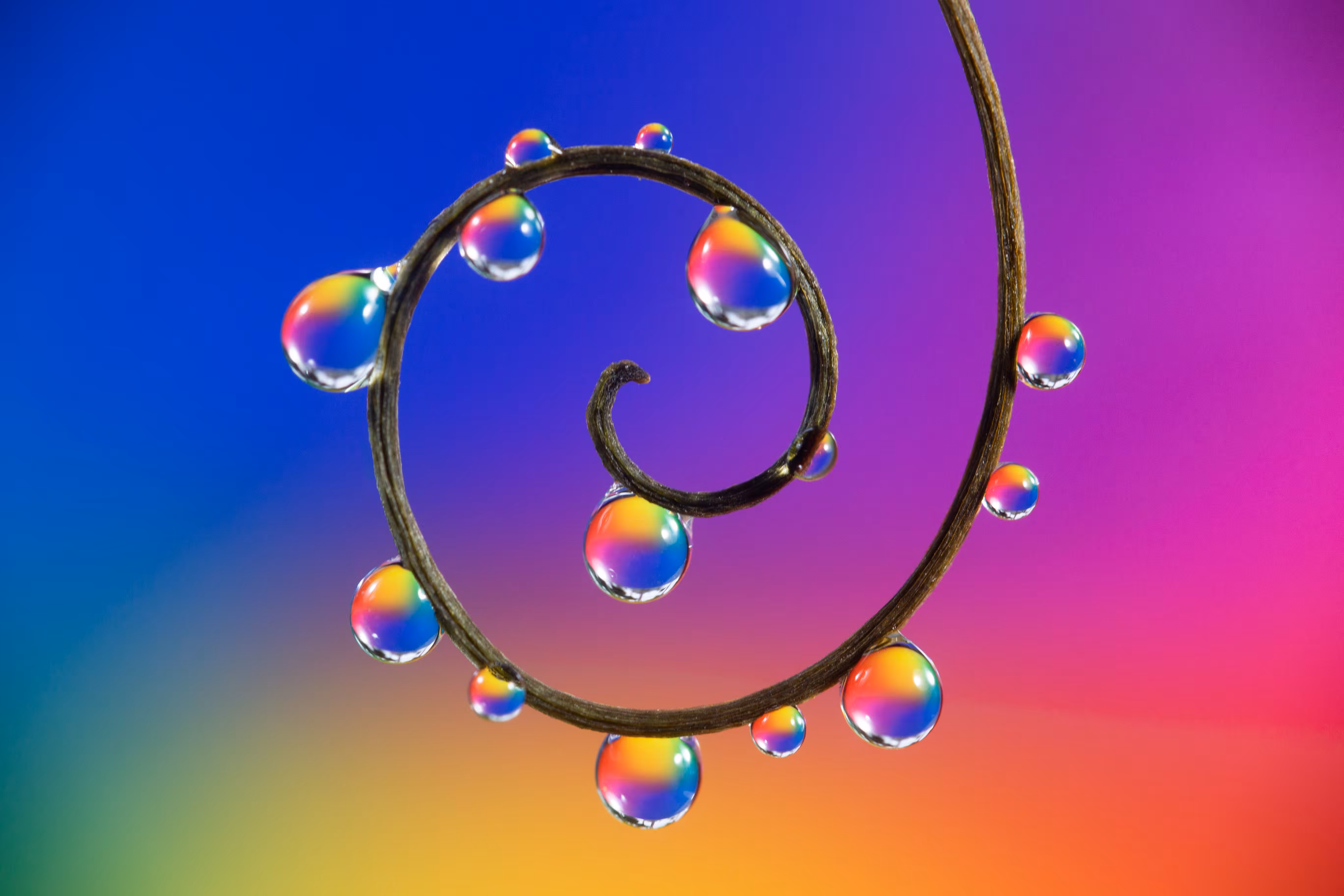 Vibrance