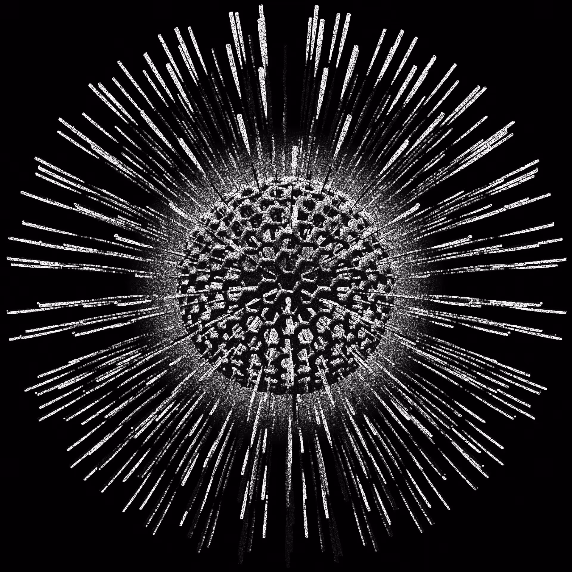 Still image of radiolaria rotating on its axis - m/m07