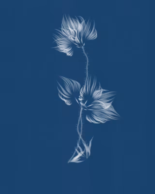 Cyanotypes #54