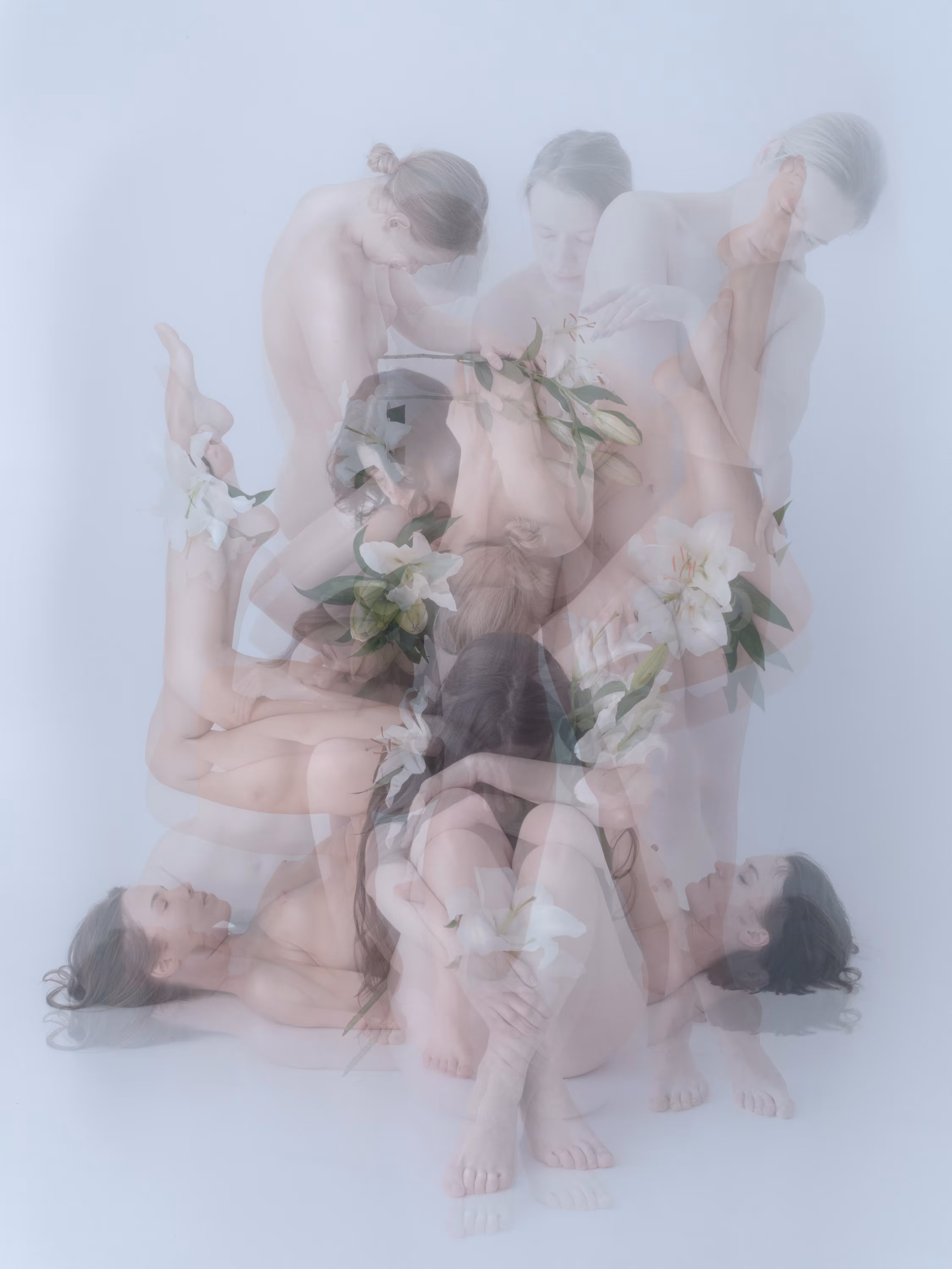 Echo #17
