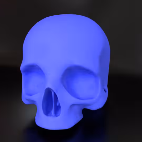 SkullZ #202