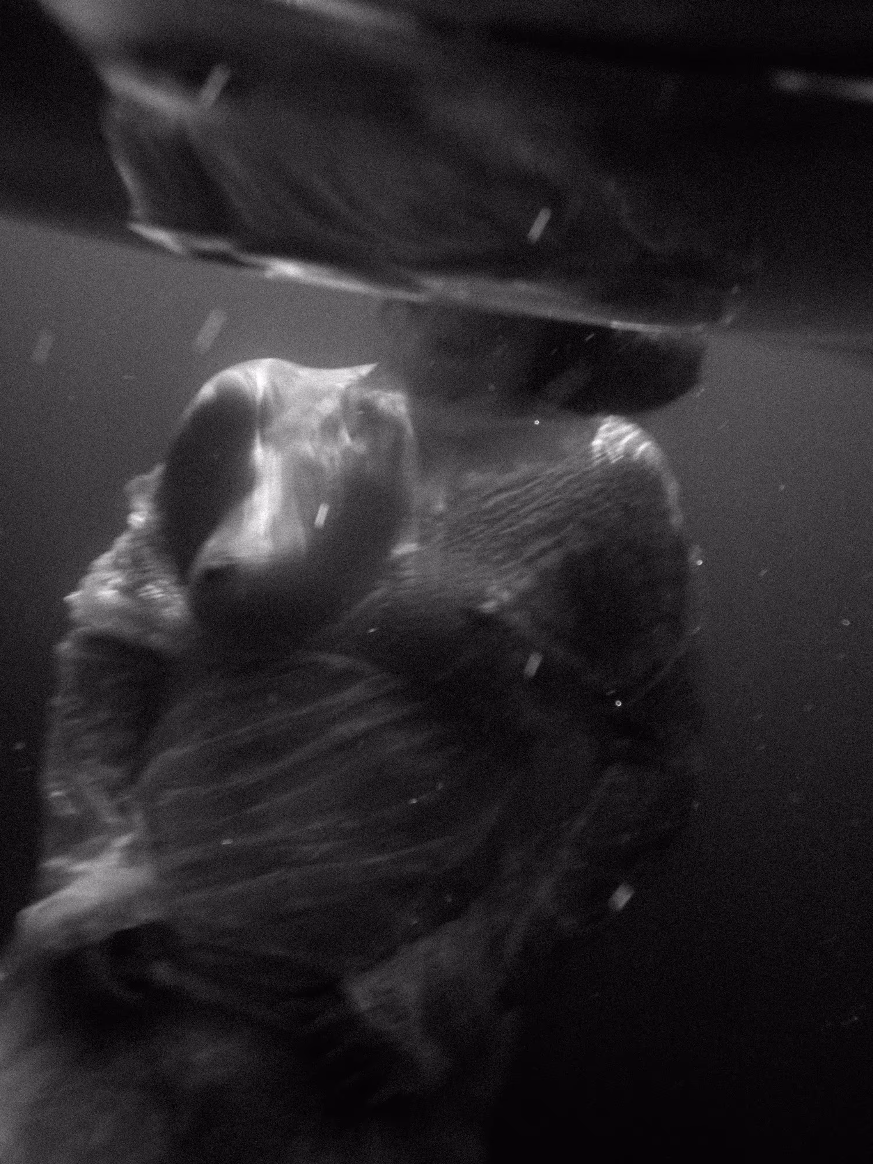 Nude Underwater topless- White Dress 