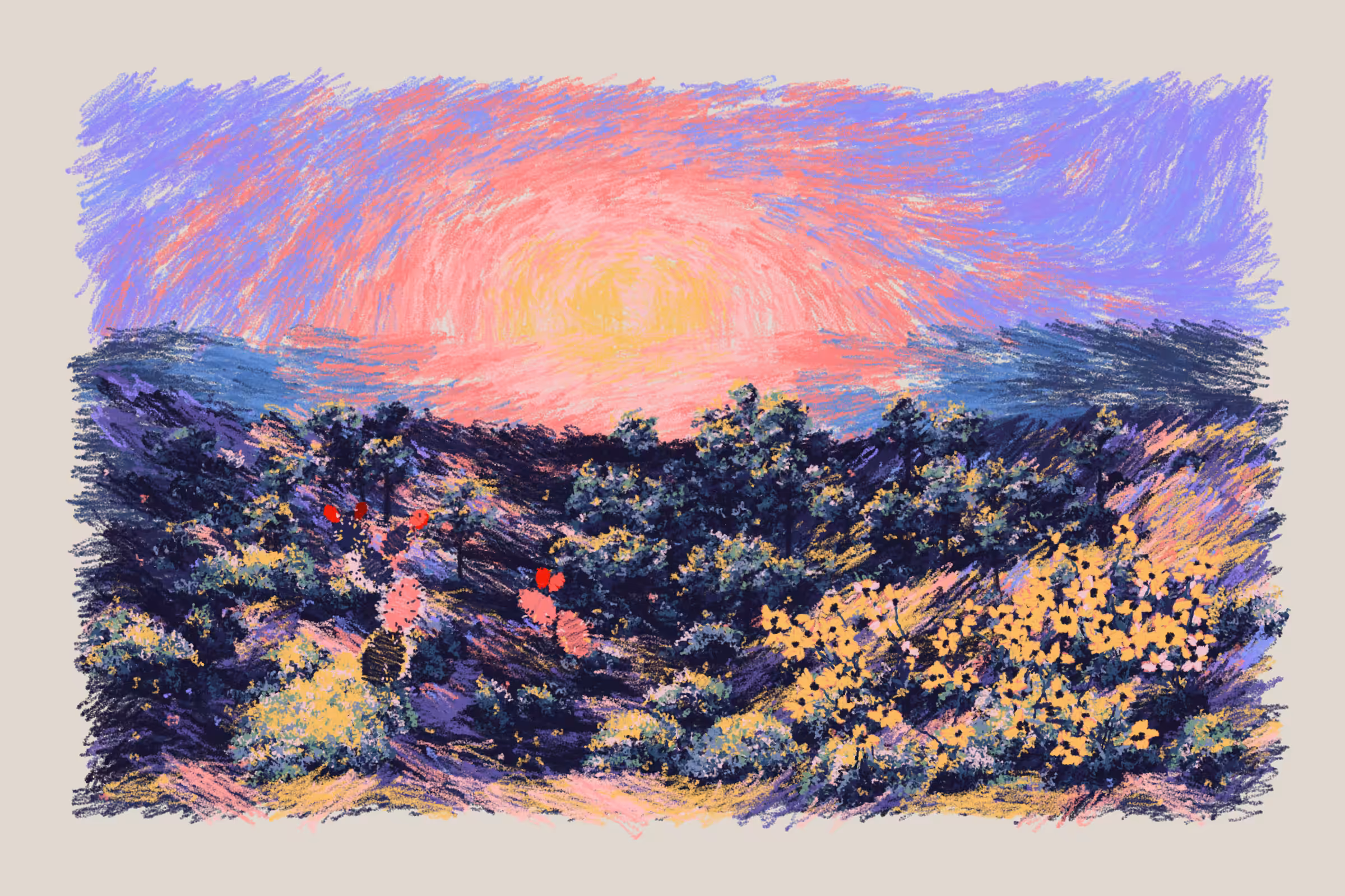 Sunset from the Bluffs #37