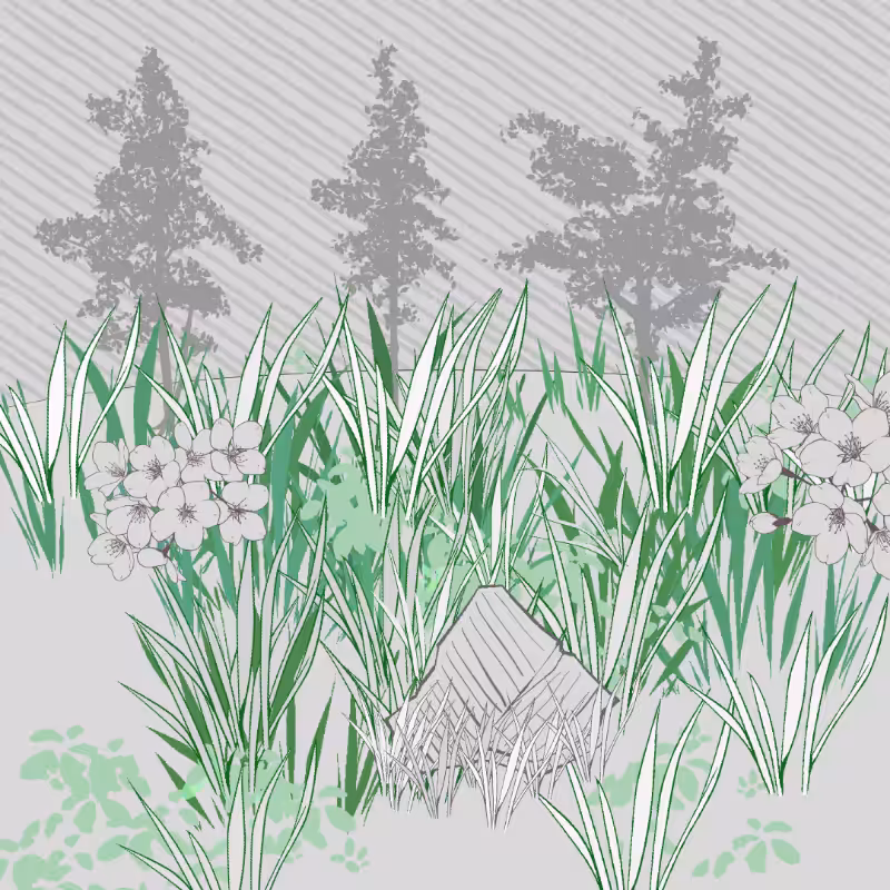 Wild Grass and Rubble #170