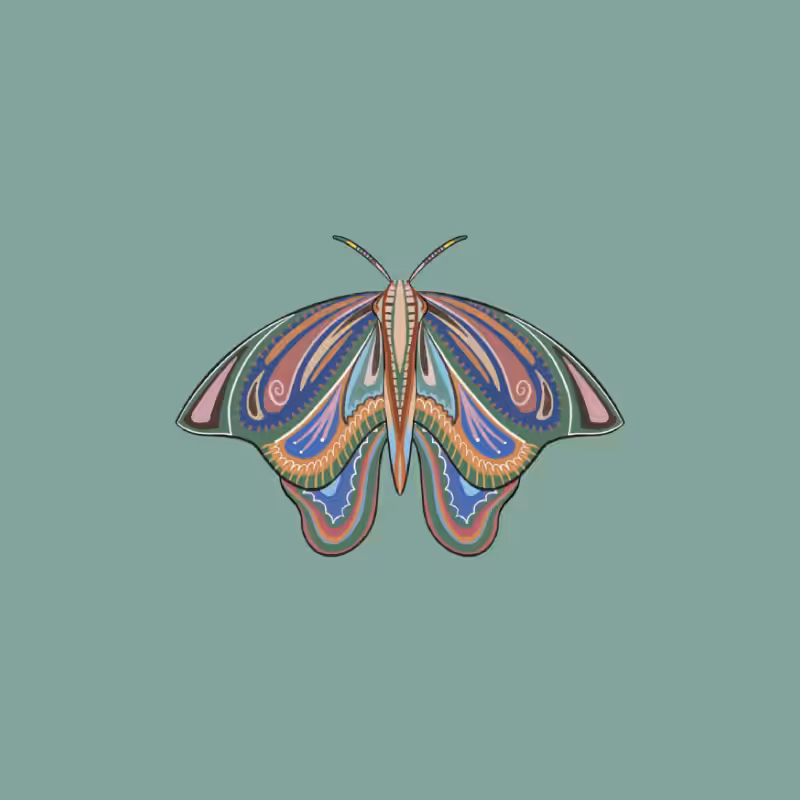 The Moth Experiment 2.0 P1 #7