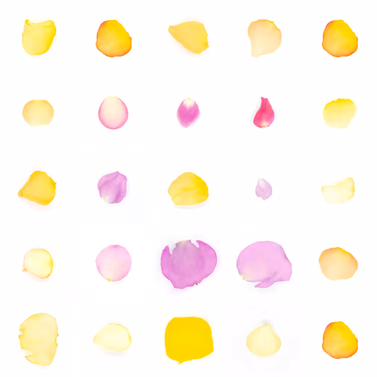 Infinite Petals 5x5#20834