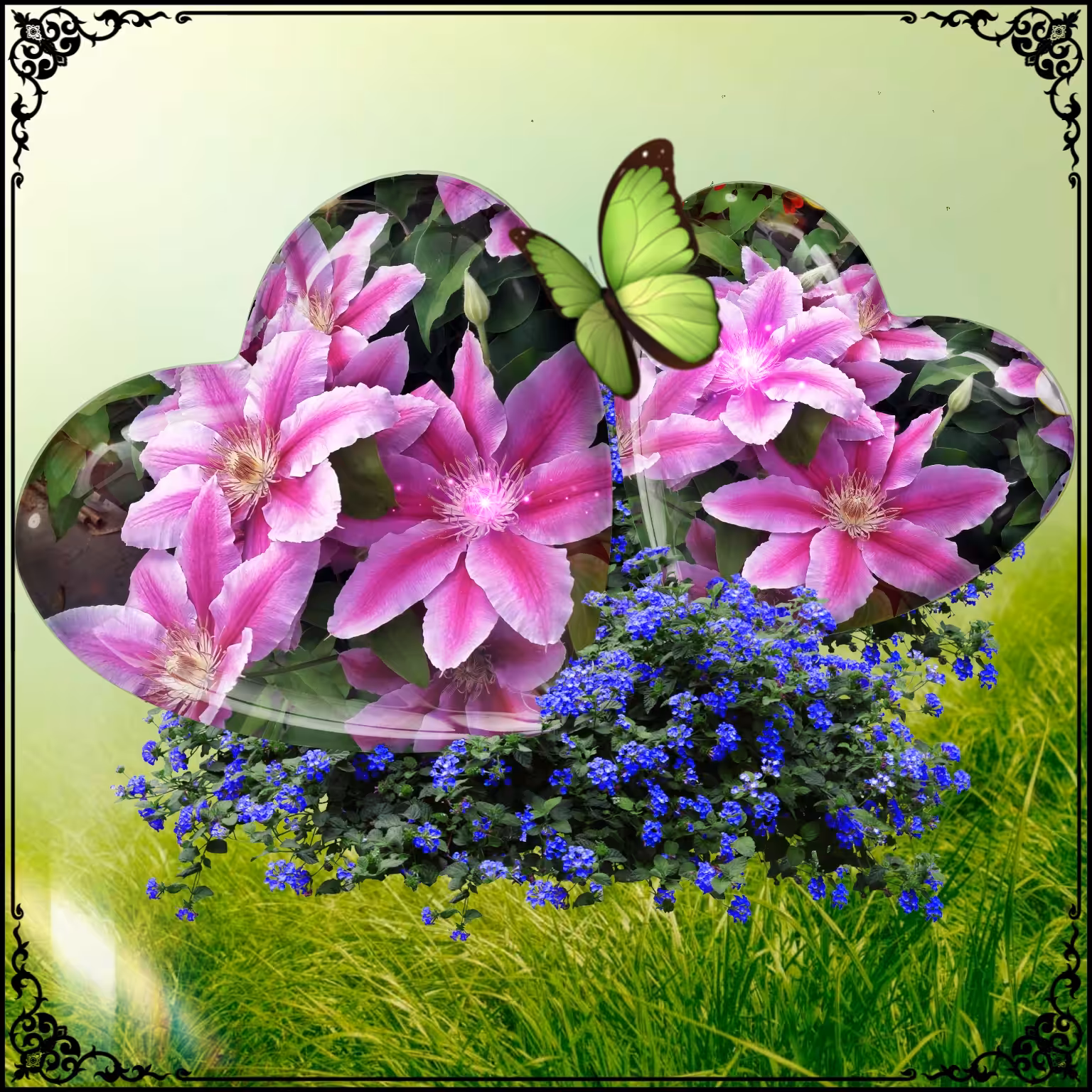Tez Flowerz #32
