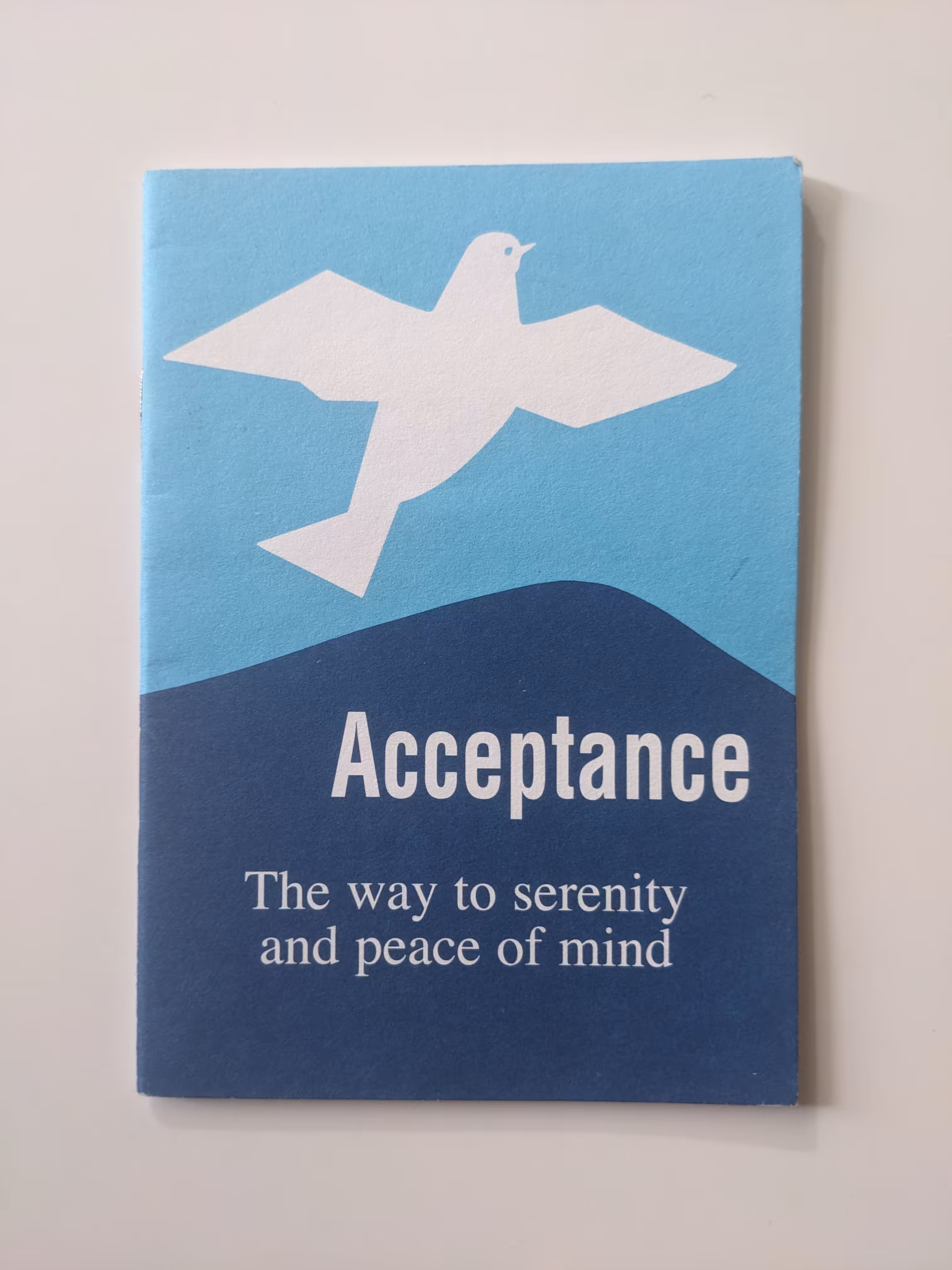 Subway Jesus Pamphlets: Acceptance