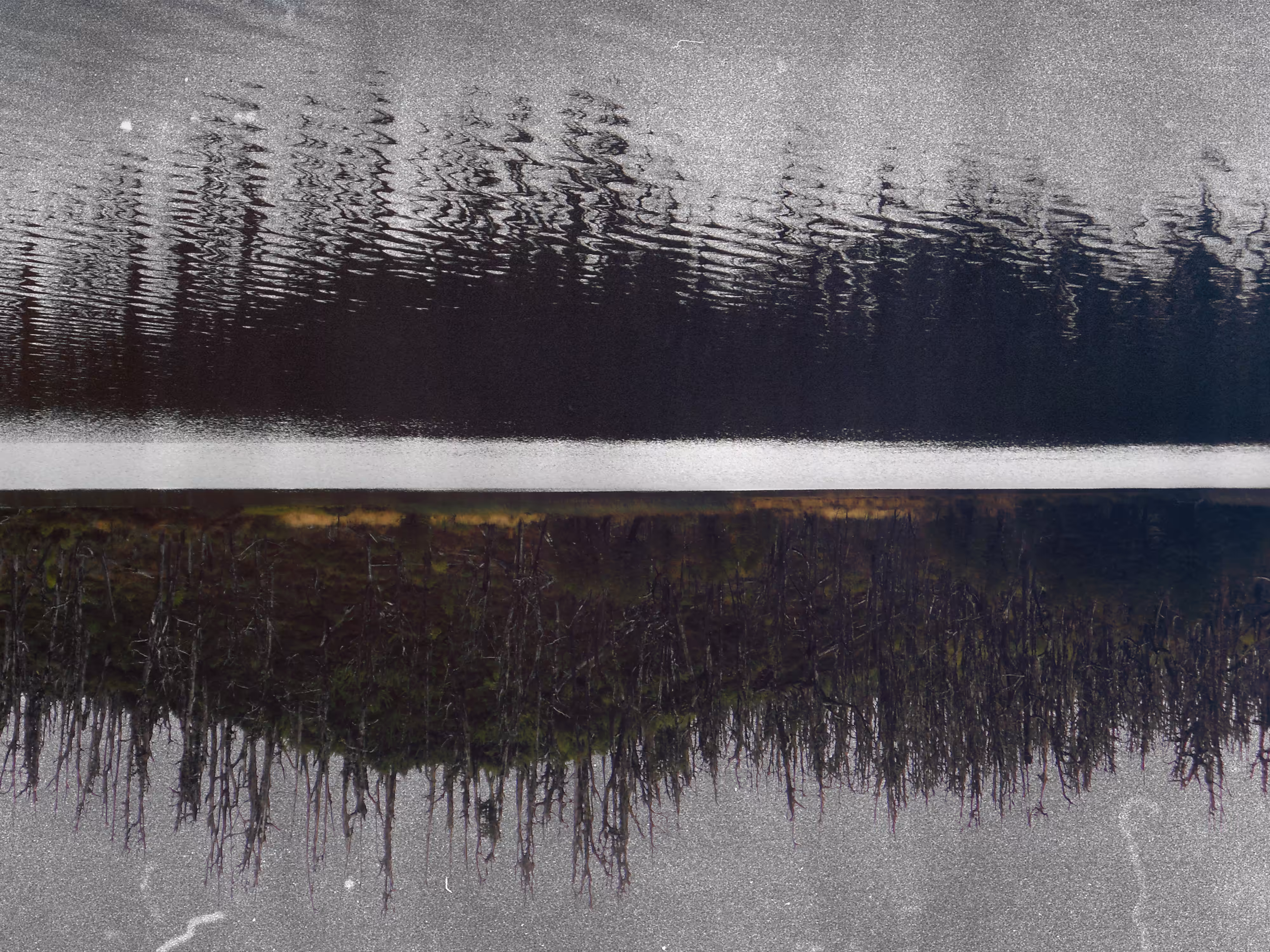 Ancient Sediment