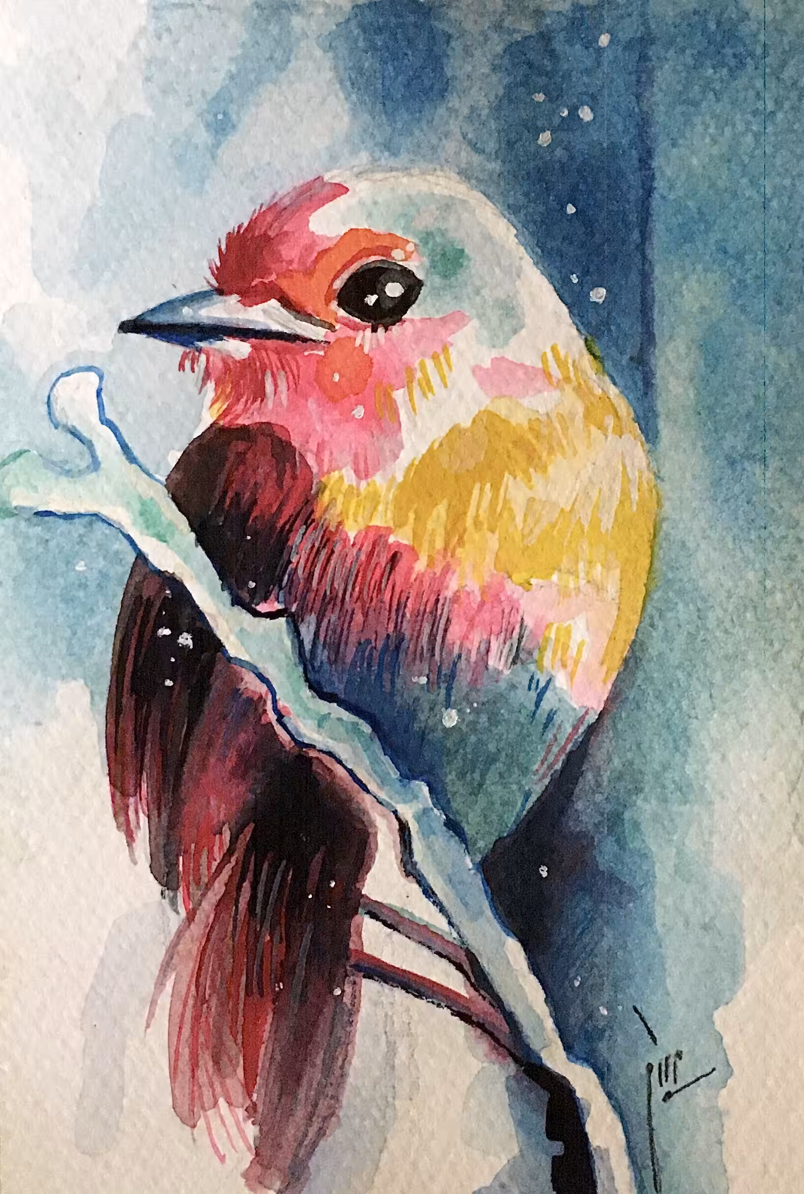 The Happy Valley: purple bird