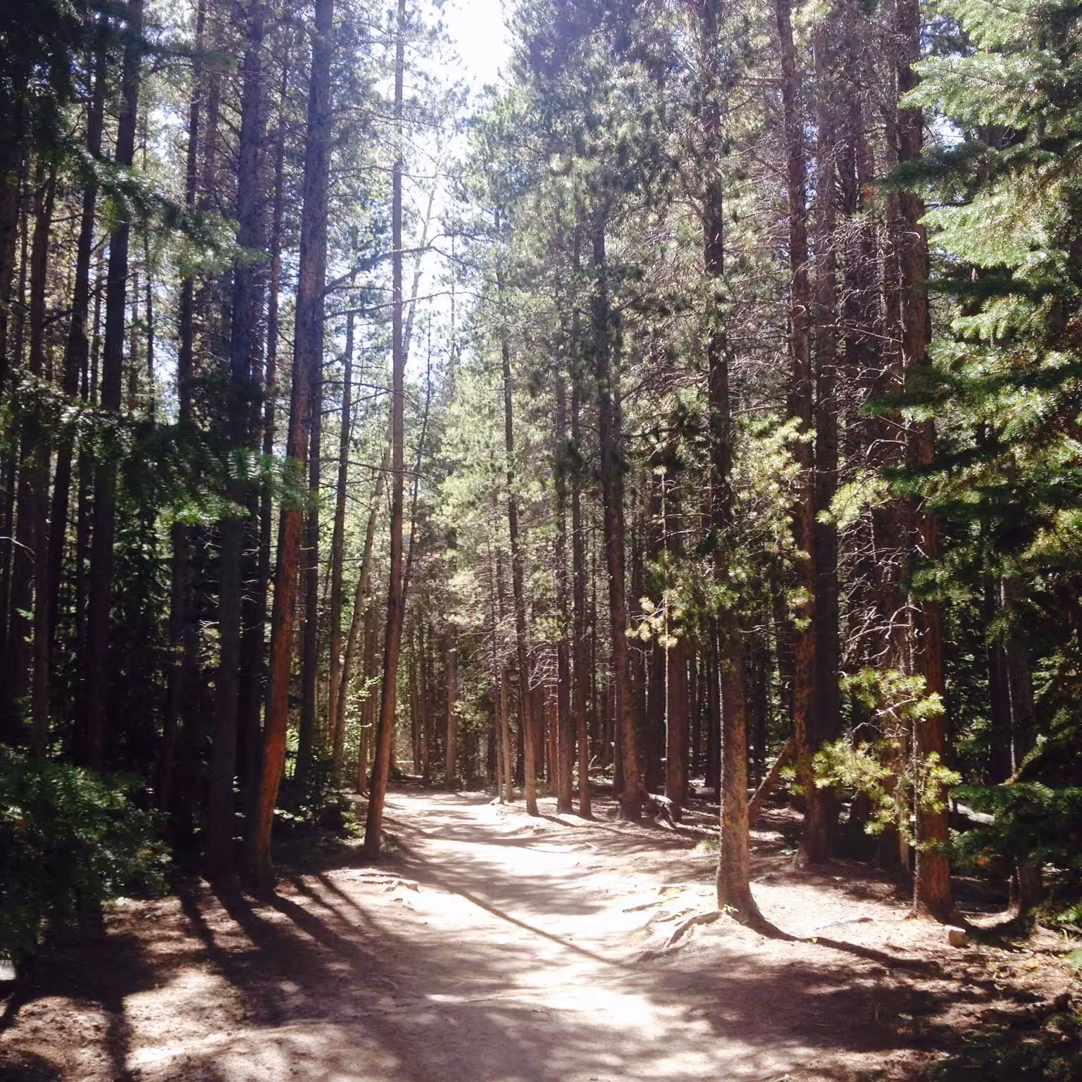Mountain Pathways