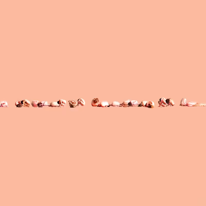 body landscapes #59
