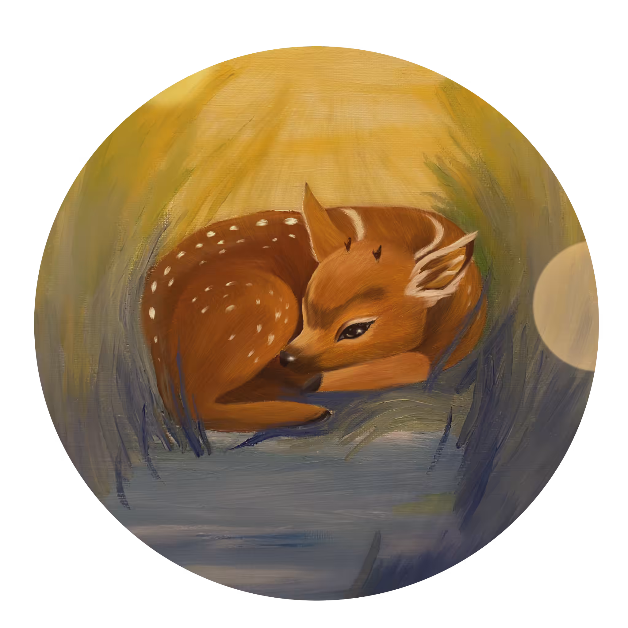 Sleeping fawn