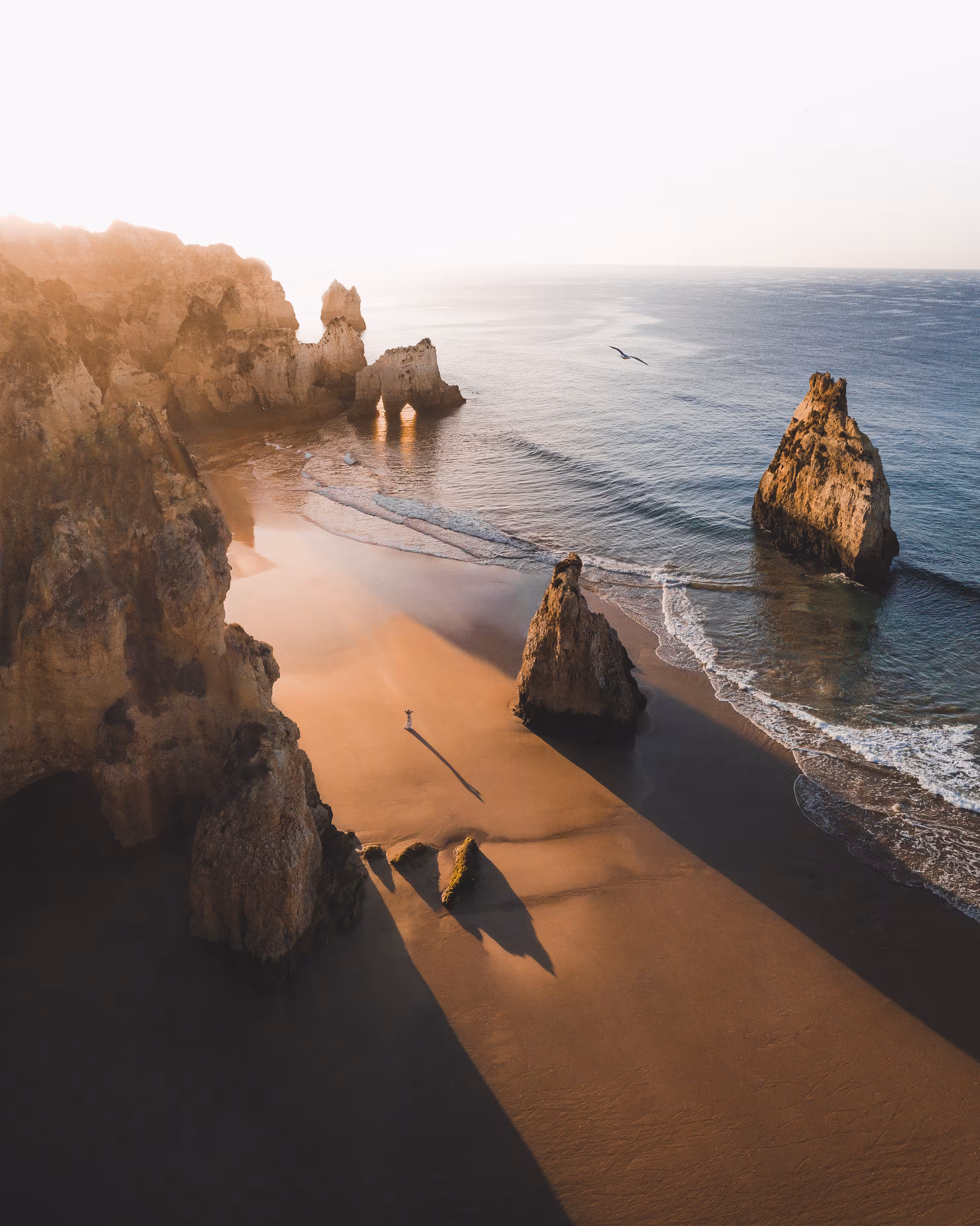 Shadows of Portugal
