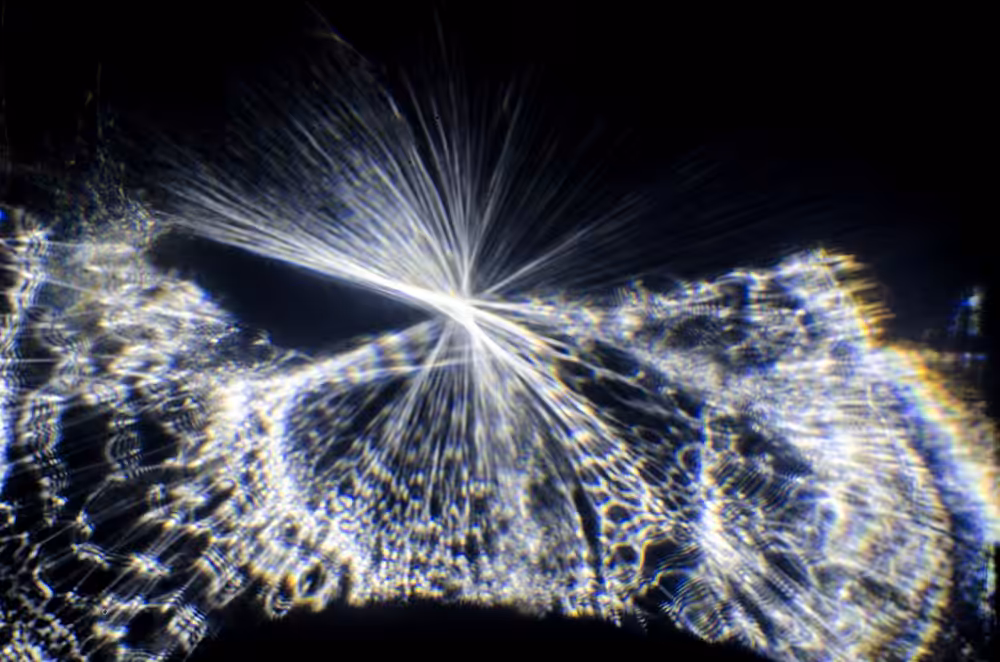 illusory //2013#02