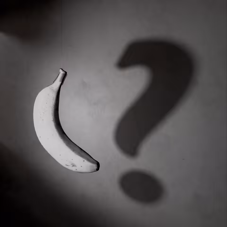Swinging Rhetorical Questions (WIP)