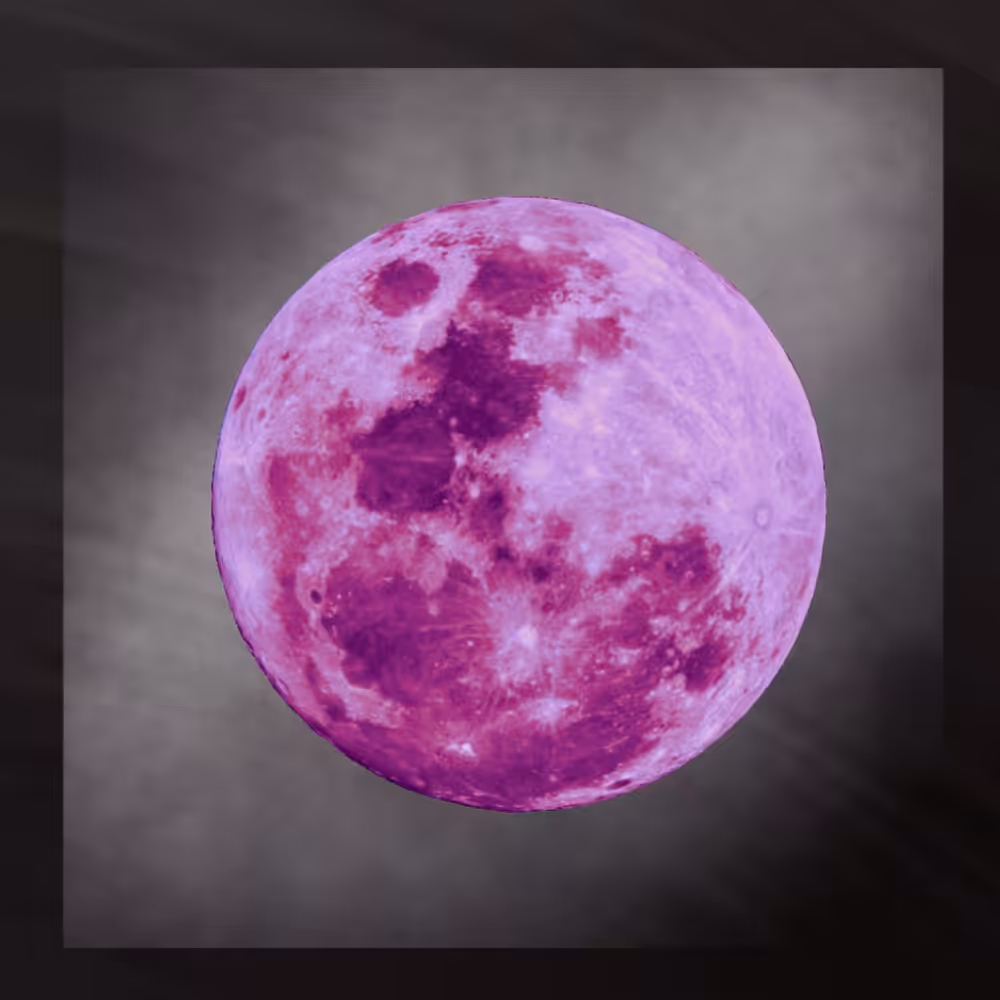 -<Beta Moons>- #24