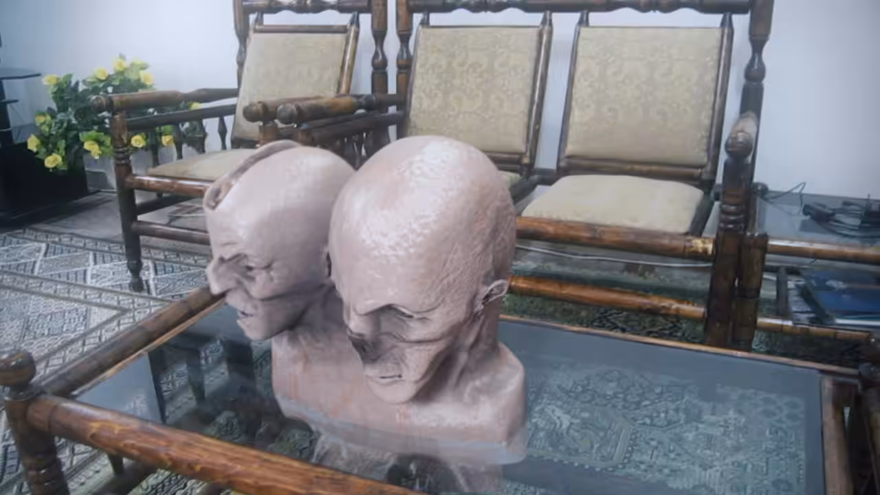 Twin head pet